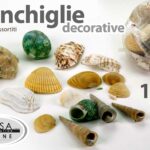 CONCHIGLIE DECORATIVE LAVORETTI FAI DA TE CONCHIGLIA DECORAZIONI COLOR 100 GR