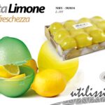MBY/SALVA LIMONE PLAST 10CM         L395