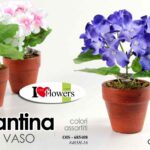 PIANTA ORTENSIA PIANTINA FINTA CON VASO FIORI FINTI ARTIFICIALE FIORE COL 17 CM