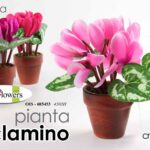 PIANTA CICLAMINO PIANTINA FINTA CON VASO FIORI FINTI ARTIFICIALE FIORE COL 17 CM