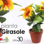 PIANTA GIRASOLE 30 cm CON VASO PIANTINA FINTA ARTIFICIALE FIORI FIORE GIRASOLI