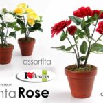 PIANTA ROSE ROSA 30 cm PIANTINA FINTA ARTIFICIALE FIORI FIORE COLOR ASS VASO