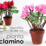 PIANTA CICLAMINO PIANTINA FIORI ARTIFICIALE FINTA EVENTI CASA VASO ASSOR 30cm