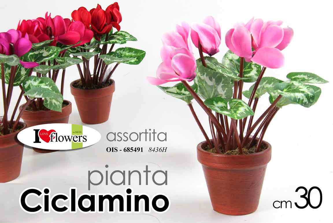 8025569685491 PIANTA CICLAMINO PIANTINA FIORI ARTIFICIALE FINTA EVENTI CASA VASO ASSOR 30cm - immagine 1
