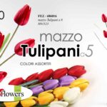 MAZZO TULIPANI A 5 FIORI FINTI 100 CM MAZZOLINO ARTIFICIALE STELO DECORATIVI COL