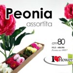 PEONIA CON STELO 80 CM FIORE DECORATIVO ARTIFICIALE PER FASCIO MAZZO ROSE COLOR