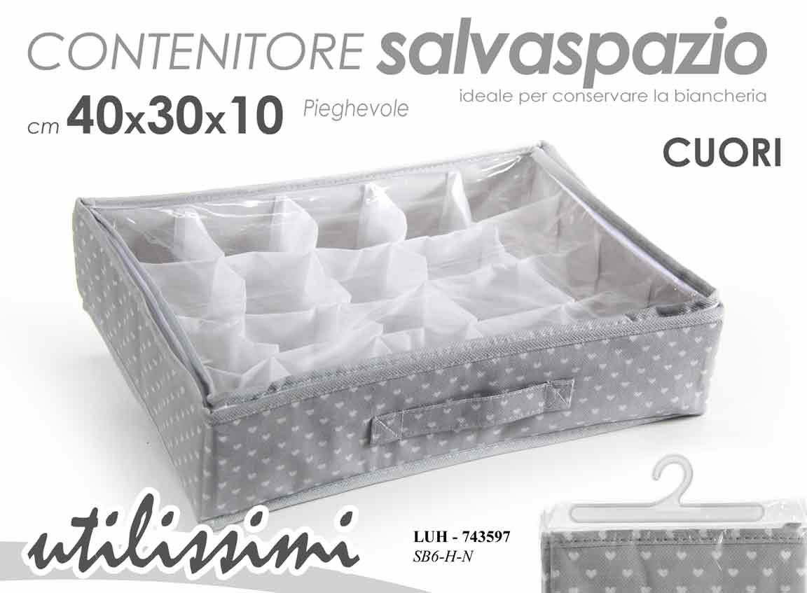8025569743597 ORGANIZER CASSETTI 12 POSTI CONTENITORE CALZINI CRAVATTE ARMADIO ACESSORI 40*30 - immagine 1