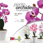 PIANTA ORCHIDEA 30 cm PIANTINA FINTA ARTIFICIALE FIORI FIORE CON VASO BIANCO