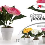 PIANTA PEONIA PIANTINA FINTA CON VASO BIANCO FIORI FINTI ARTIFICIALE FIORE 17 CM