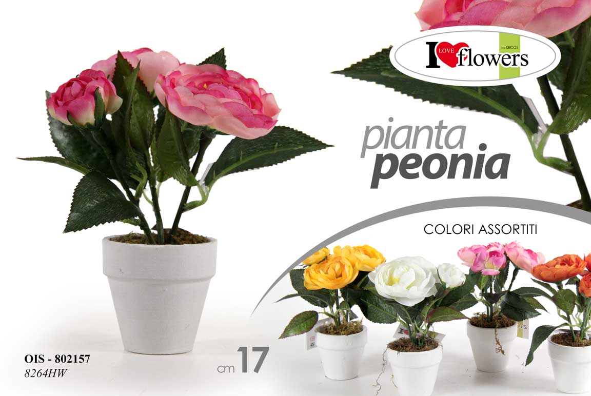 8025569802157 PIANTA PEONIA PIANTINA FINTA CON VASO BIANCO FIORI FINTI ARTIFICIALE FIORE 17 CM - immagine 1