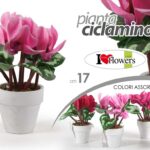 PIANTA CICLAMINO PIANTINA FINTA CON VASO FIORI FINTI ARTIFICIALE FIORE 17 CM