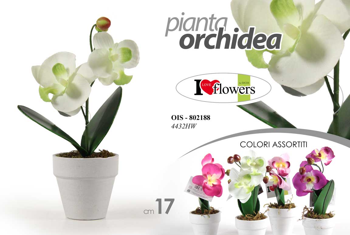 8025569802188 PIANTA ORCHIDEA PIANTINA FIORI ARTIFICIALE FINTA EVENTI CASA VASO CER ASSOR 17cm - immagine 1