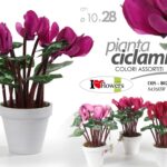 PIANTA CICLAMINO CON VASO PIANTINA FINTA ARTIFICIALE FIORI FIORE 28cm