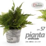 PIANTA PIANTINA FELCE ARTIFICIALE FINTA EVENTI DECORATIVA CASA VASO ASS 23*10 cm