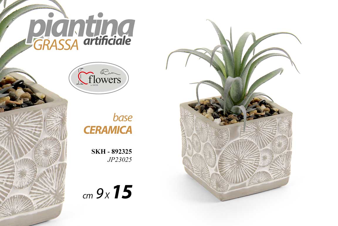 8025569892325 PIANTA PIANTINA GRASSA ARTIFICIALE FINTA DECORATIVA VASO CERAM EVENTI CASA 15*9 - immagine 1