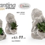 PIANTA Buddha NON VEDO NON SENTO NON PARLO BUDDA PIANTINA FINTA VASO ASSOR 10*9