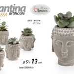 PIANTA GRASSA TESTA Buddha BUDDA VISO PIANTINA FINTA VASO SEGNAPOSTO TAVOLA 13*9