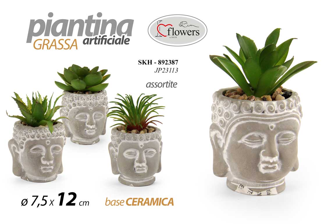 8025569892387 PIANTA PIANTINA GRASSA ARTIFICIALE FINTA EVENTI CASA VASO BUDDA ZEN ASSOR 12 cm - immagine 1