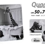 WON/QUADRO ASS 50*70*1,8 XCC250973/4/5FB