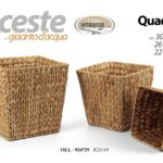 OLL/S/3 CESTE GIACIN.QTE 30/26/22 R23140